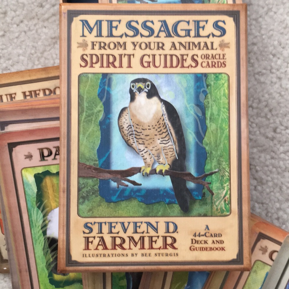 Messages from Animal Spirit Guides 44 Card Deck